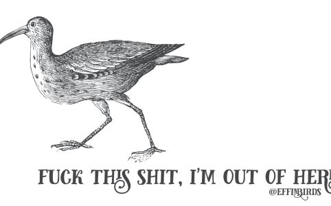comic drawing by Effin Birds. there is a bird walking toward the left side of the image. the words 'FUCK THIS SHIT, I'M OUT OF HERE @effinbirds' are drawn on the bottom in a fancy font