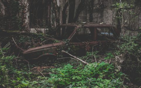 a rusted car in front of a concrete block structure, all covered in climbing vines and other flora