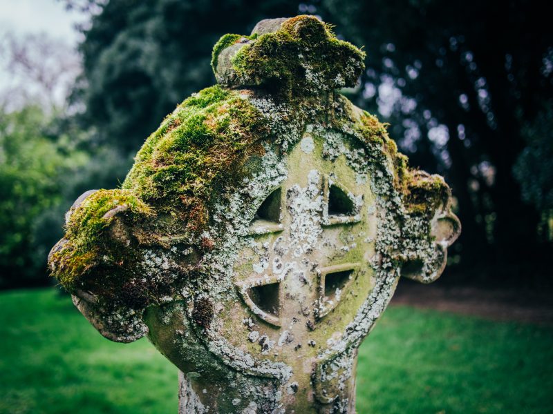 a celtic cross grave marker overgrown with green moss