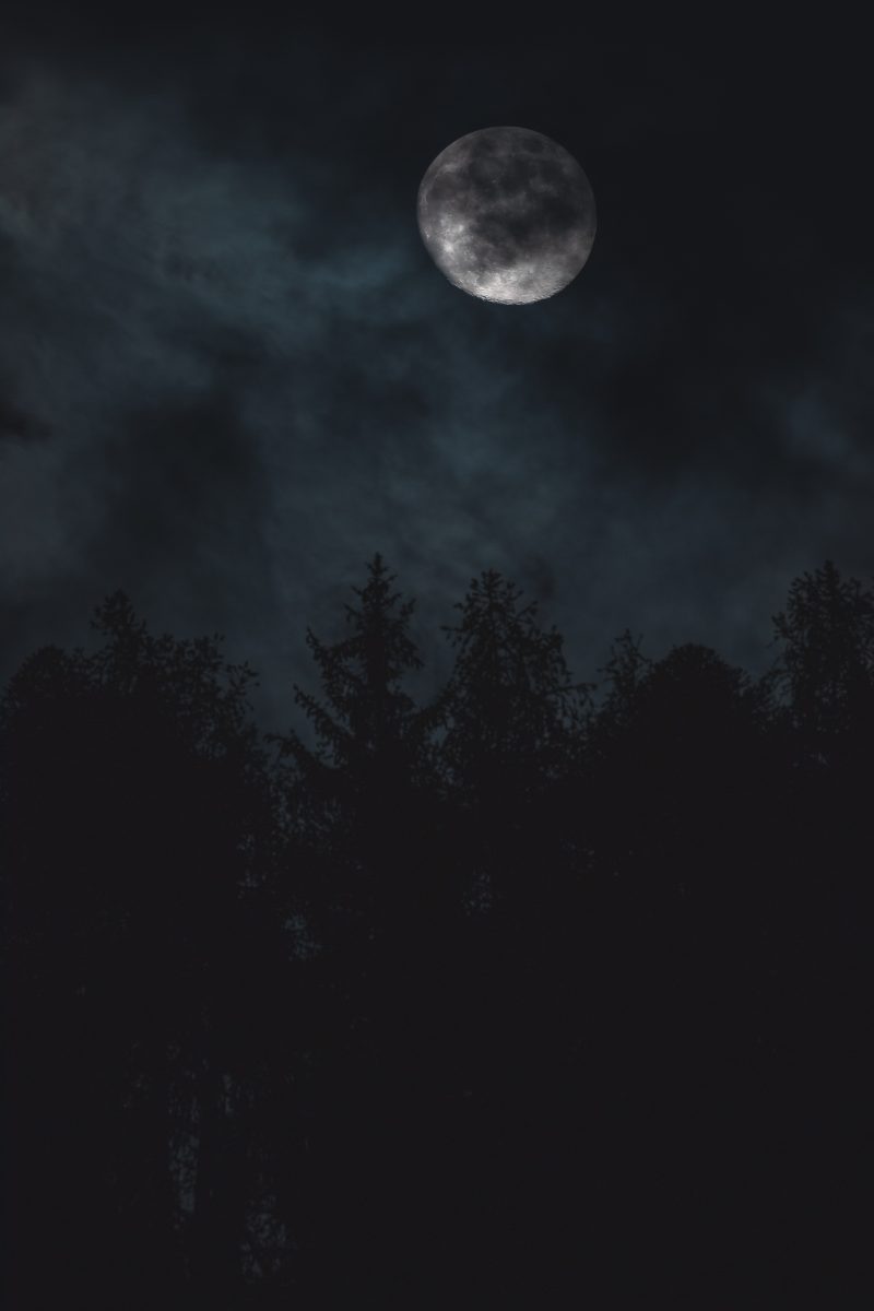 a nearly-full moon partially obscured by clouds above pine trees on a dark night