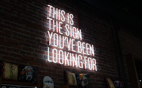neon sign that reads 'this is the sign you've been looking for'
