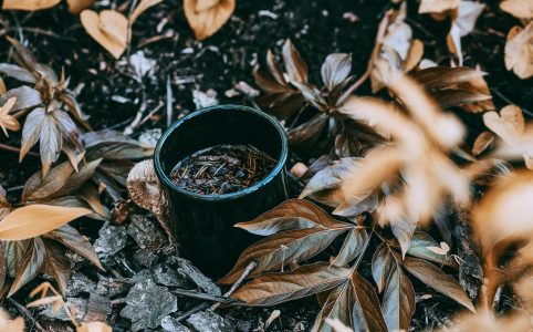 a small dark pot of tea on leaf-covered ground