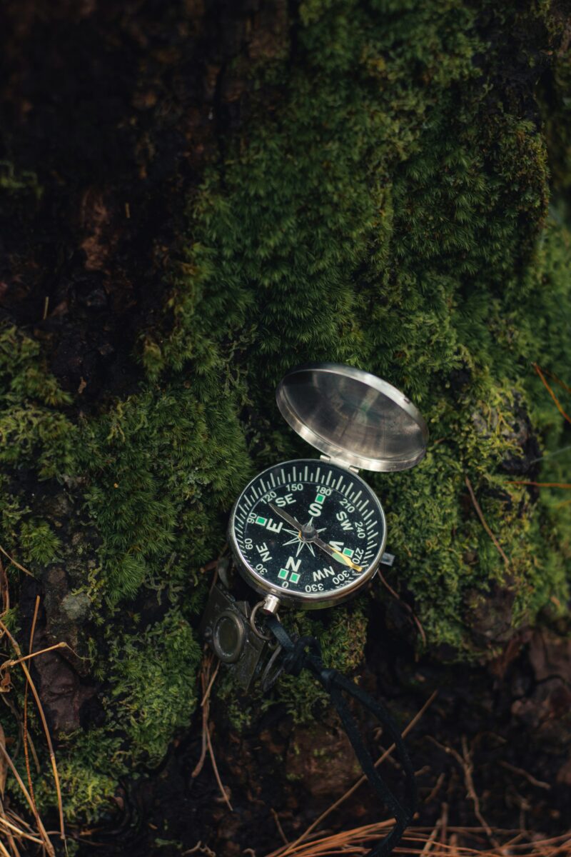 an open compass on a bed of dark green moss. the photo is dimly lit.